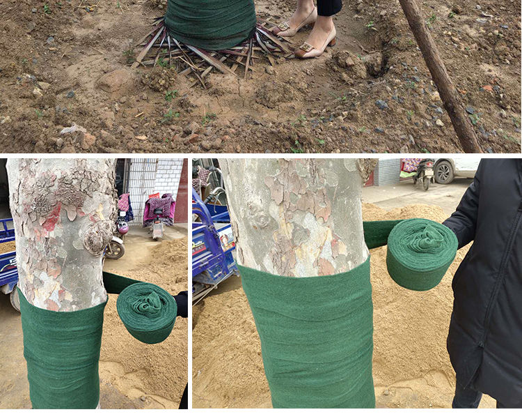 包树布护树宝树木保温保暖保湿带防冻防寒布园林裹树布缠树带缠绕双层