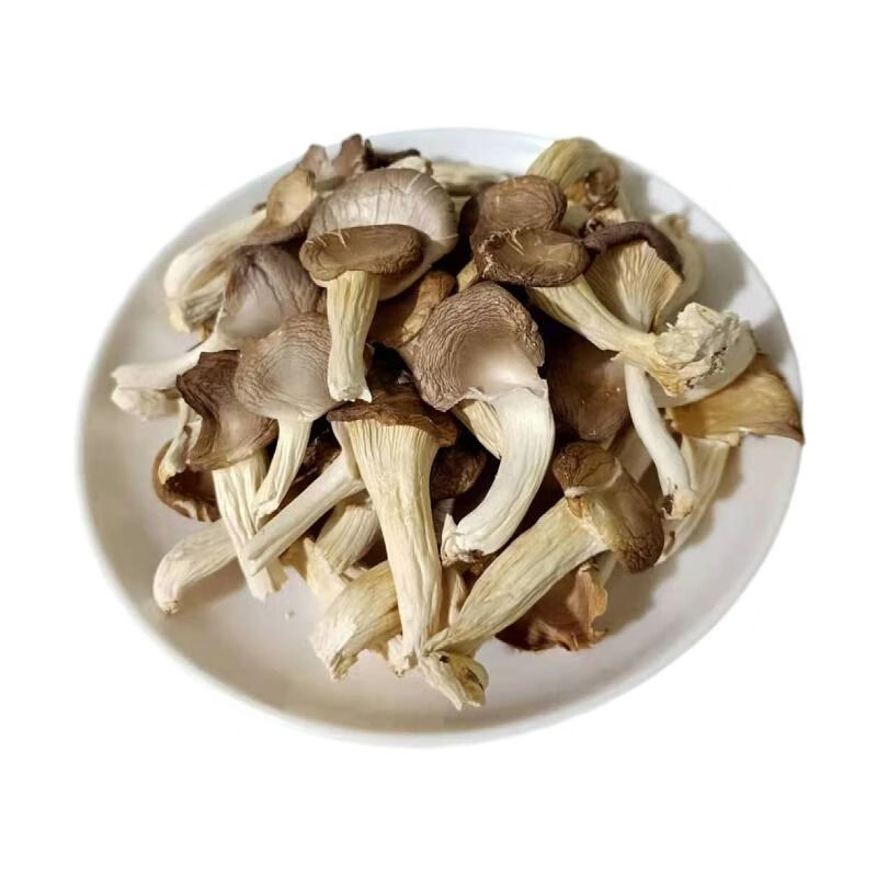 新货凤尾菇平菇干货250g500g干秀珍菇食用菌干蘑菇片煲汤火锅菌菇新货