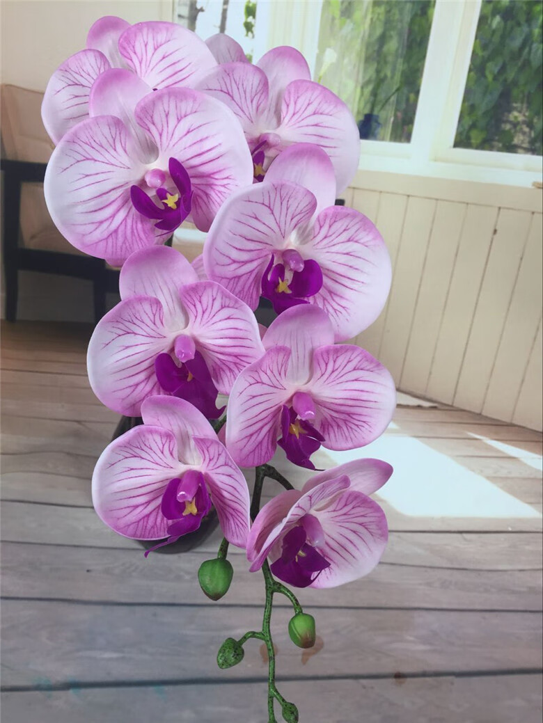 胡蝶兰花pu真手感过胶蝴蝶兰仿真兰花假花单枝绢花装饰家居插花单支