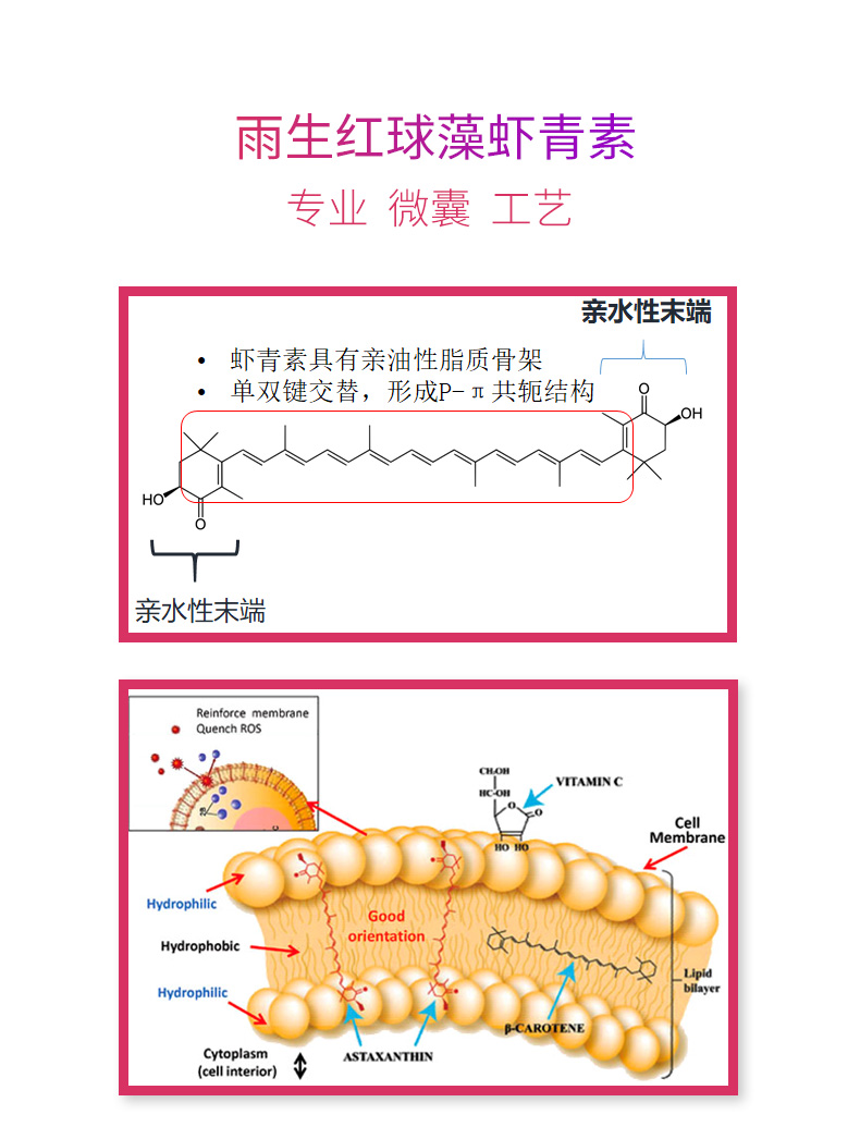 糖叶酸左旋肉碱维生素钙铁锌复合维生素营养口服饮料同方药业大盒30袋