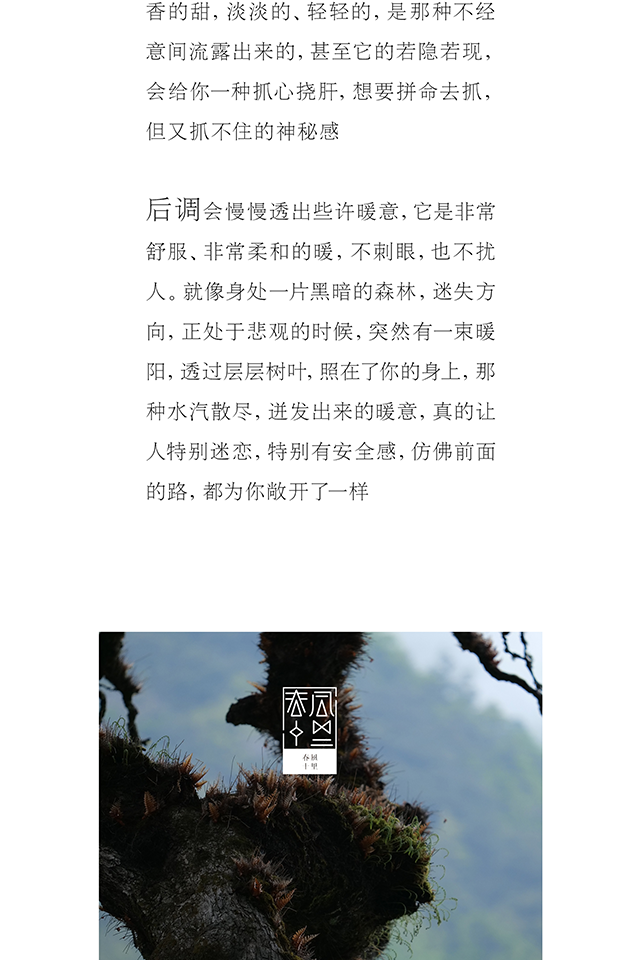 春风十里苦尽男女士香水寺庙香持久淡香夏天学生小众送老婆男友生日礼物 50ml棕色