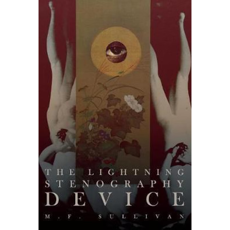 按需印刷The Lightning Stenography Device[9780996539531]