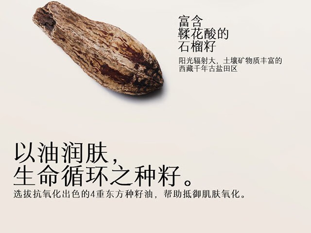 玛丽黛佳（MARIE DALGAR）（元宵节）种籽气垫贴肤锁妆龙年限定气垫持妆干皮柔光肌滋润粉底 龙年款W01皑雾（带替换芯*2） 45g