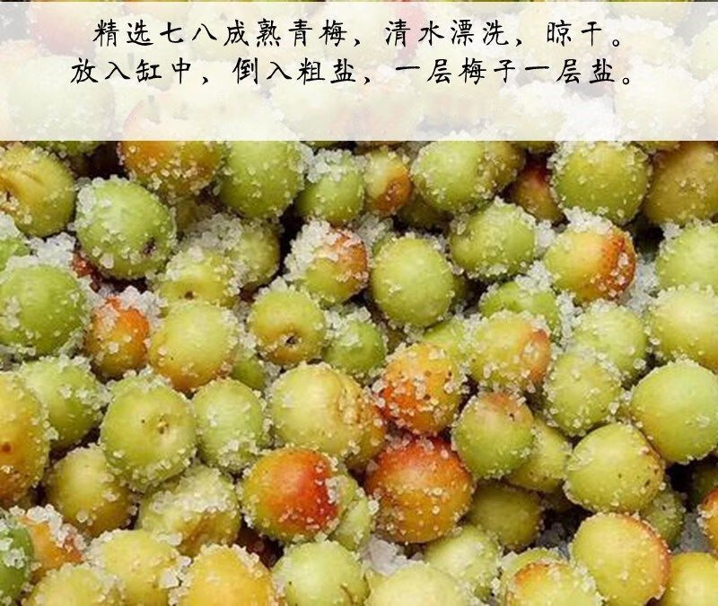 广西玉林腌制咸酸梅子咸水梅盐水梅发记酸料酸嘢泡梅子做菜调料发记酸