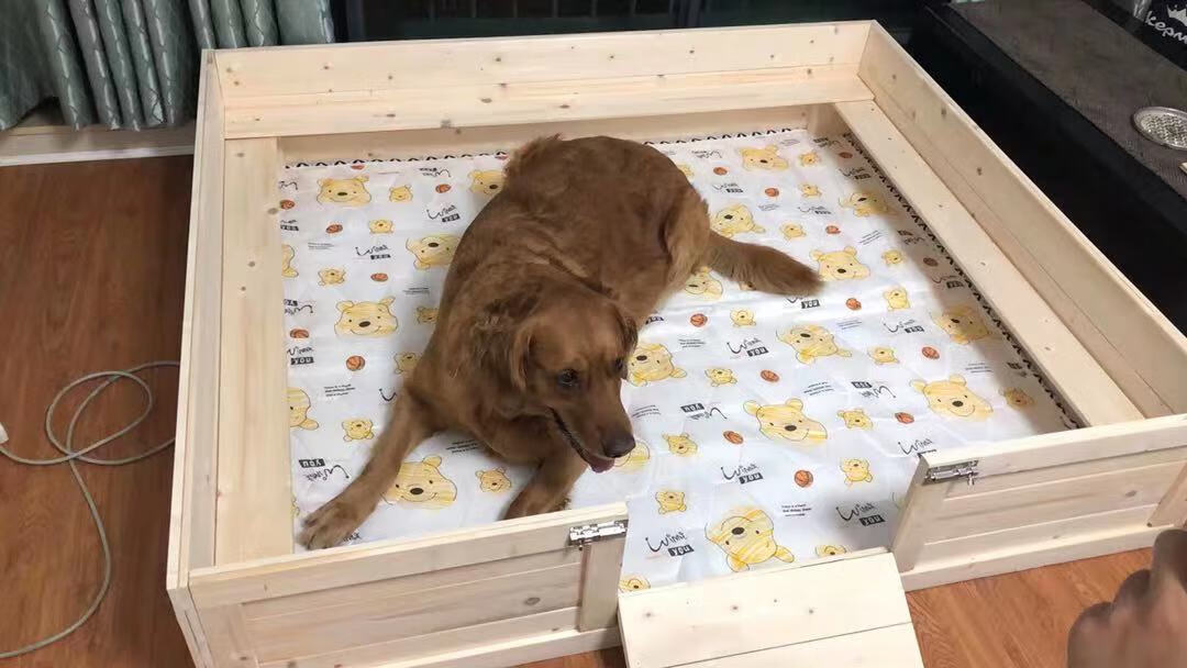 实木防压狗狗产床狗窝大型犬狗狗产房箱幼崽窝猫狗产房可定制原木色