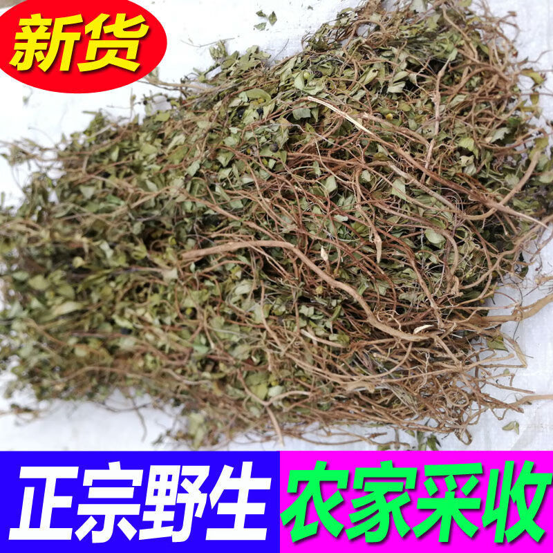 地菍草中草材埔梨野生地念草地稔根地捻草铺地锦紫茄子地脚茶500克