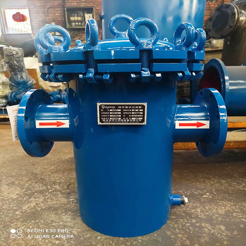 管道除污器 蓝篮式过滤器dn40 50 65 80 100 125 150 200 250 鑫畓