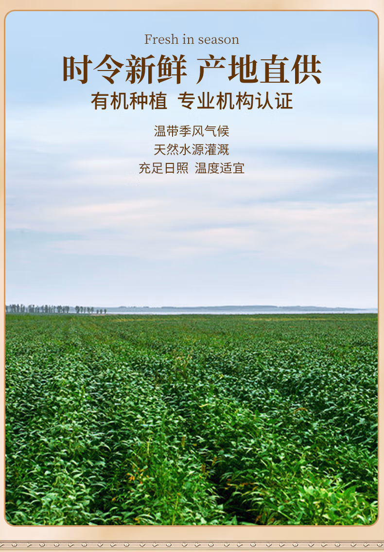 详情图.png