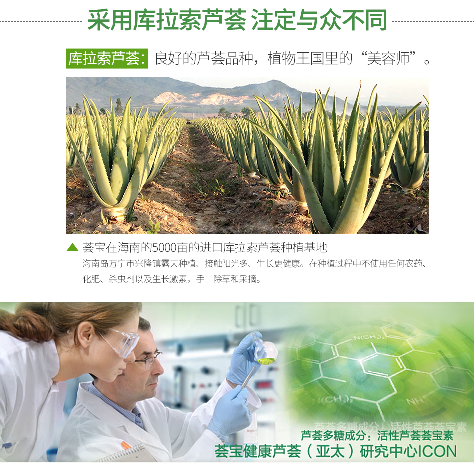 荟宝（VEIBAO）芦荟净透去黑头套装 祛黑头吸黑头三部曲鼻贴膜男女黑头导出液