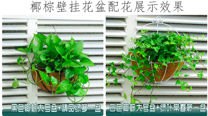 挂壁式吊兰花盆半壁挂花盆墙上墙壁阳台植物绿萝盆吊兰悬挂式花盘花篮