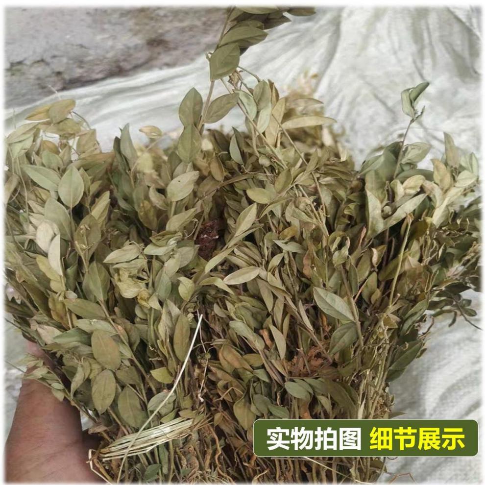 野生瓜子金马来回惊风草辰砂草中草药材二月花产后草整株新货250g