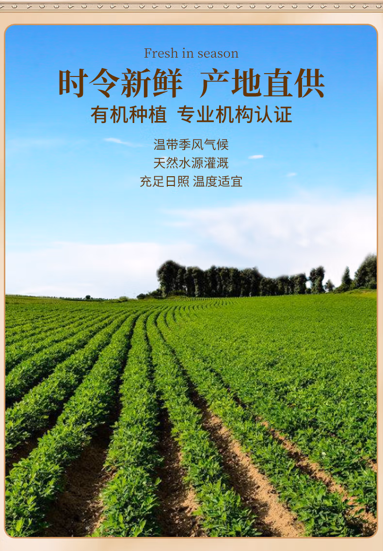详情图.png