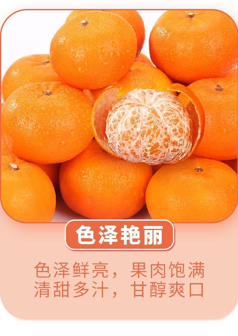 超好吃广西武鸣沃柑贵妃柑橘子薄皮桔子当季新鲜水果10斤5斤11月20日