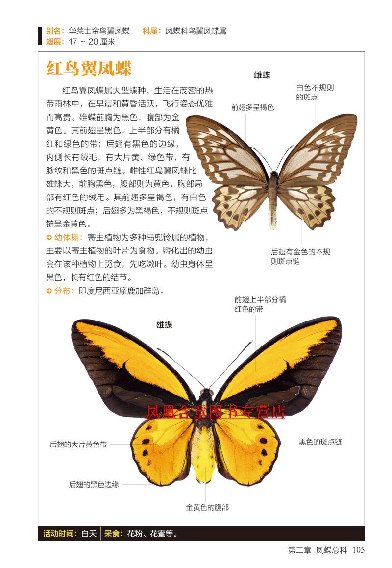 蝴蝶图鉴(158种蝴蝶与60种蛾类的特征)/图鉴珍藏丛书 生物世界 动植物