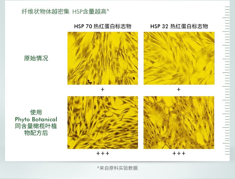 RYDEEN植萃靓颜舒缓精华液补水保湿肌肤修护屏障改善泛红敏感精华液 一瓶装
