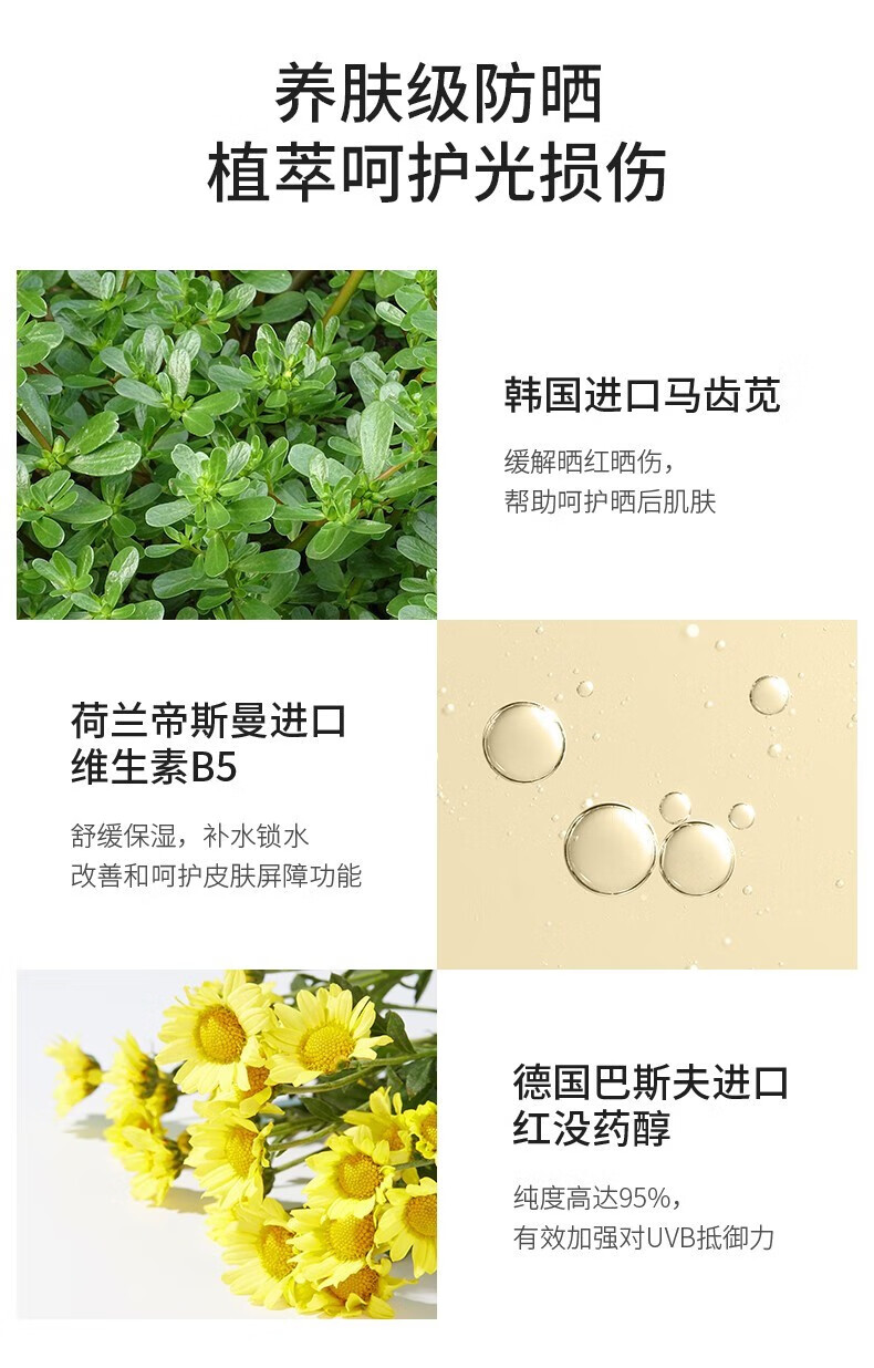 透真（LUCENBASE）军训防晒霜隔离防紫外防晒乳提亮保湿防水汗清爽学生户外 【人气经典】清透防晒乳30g