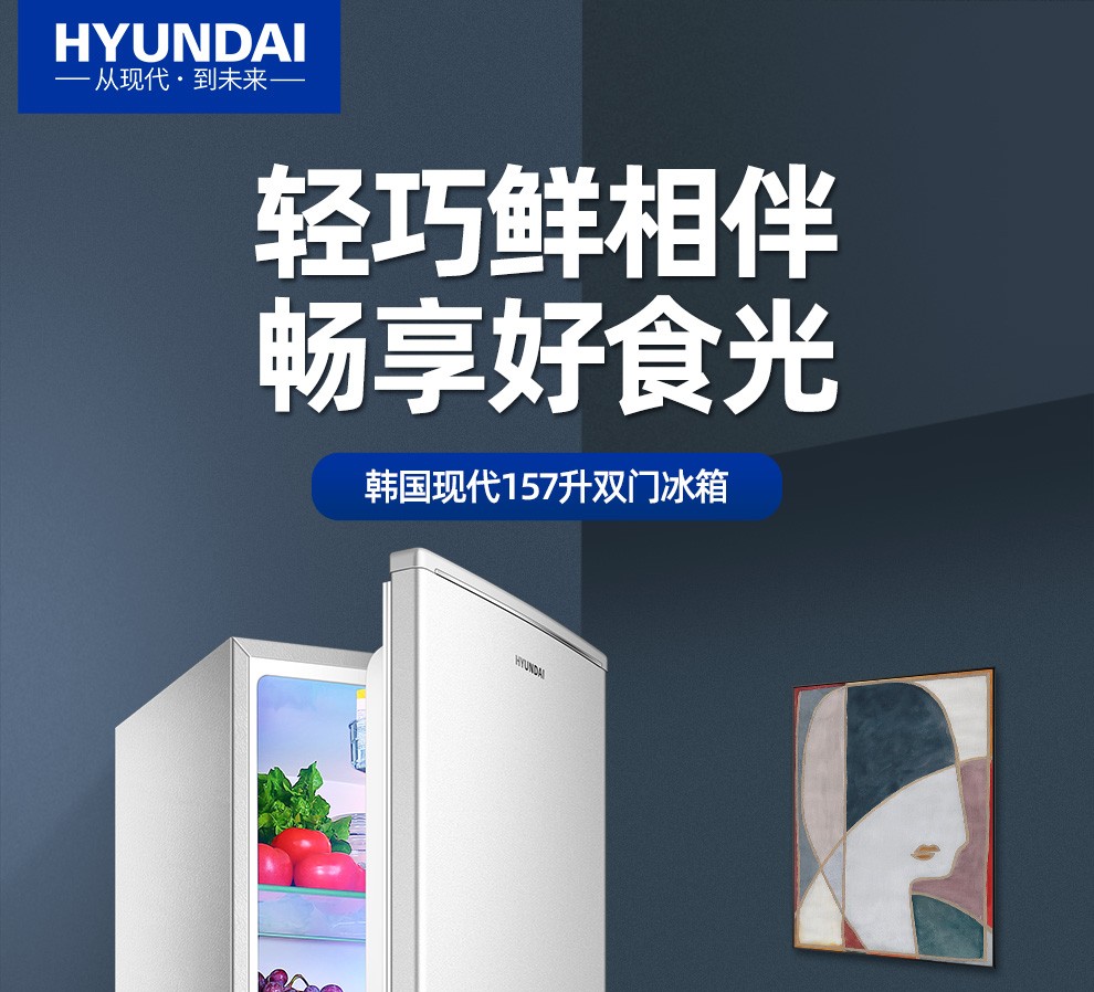 韩国现代(hyundai)157升冰箱双开门 小型迷你电冰箱双门家用租房 bcd