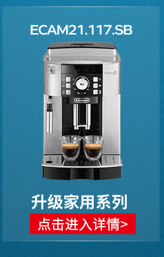 Delonghi 德龙delonghi全自动咖啡机意式家用双头磨咖啡豆现磨现煮打奶泡 ESAM2200.W 德龙