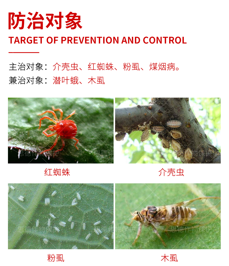 田奴99矿物油柑橘红蜘蛛介壳虫粉虱白粉病杀螨清园杀虫剂果树1l5l