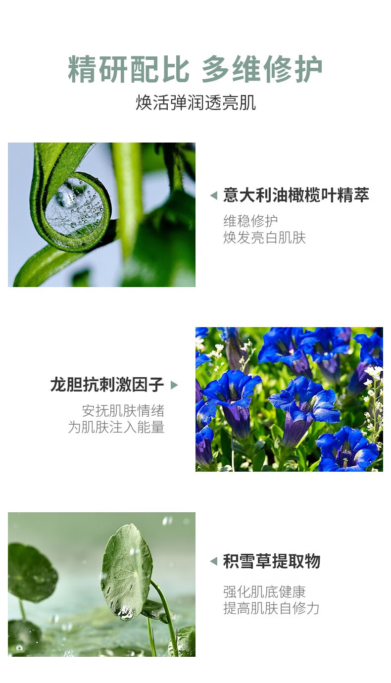 研译 补水保湿油橄榄面膜 5片/盒