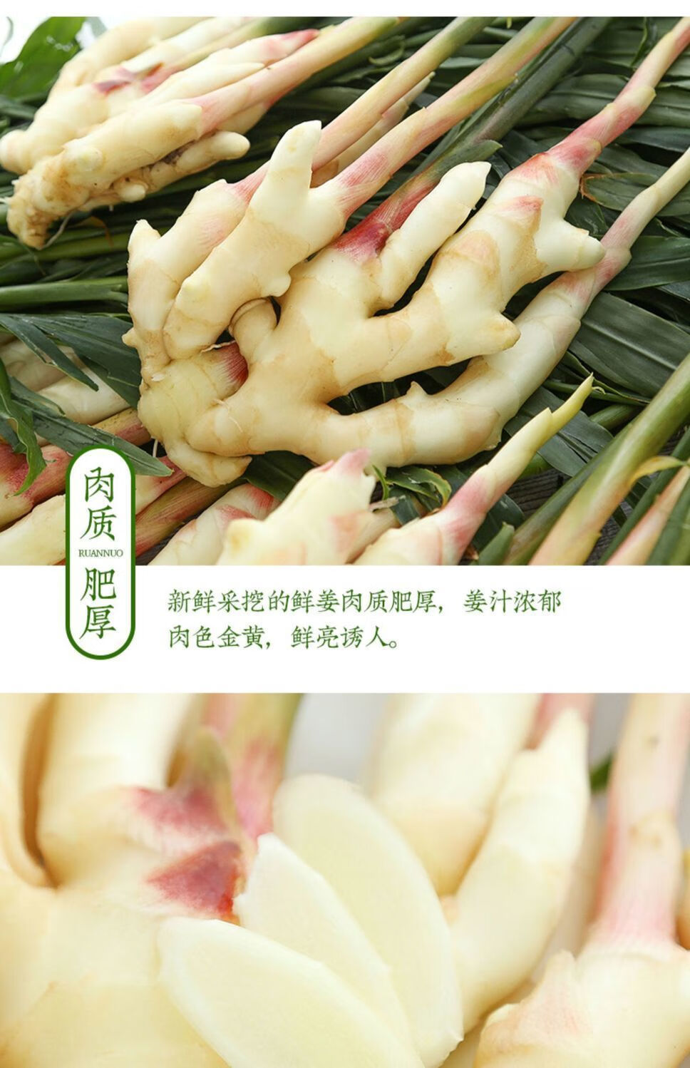 山东嫩姜新鲜嫩仔姜红芽姜子姜鲜姜芽生姜醋泡姜农家现挖应季蔬菜净重