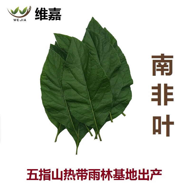 南非叶干叶茶将军叶大苦叶新鲜叶全国酸正宗三马来西亚降高苗干叶一包