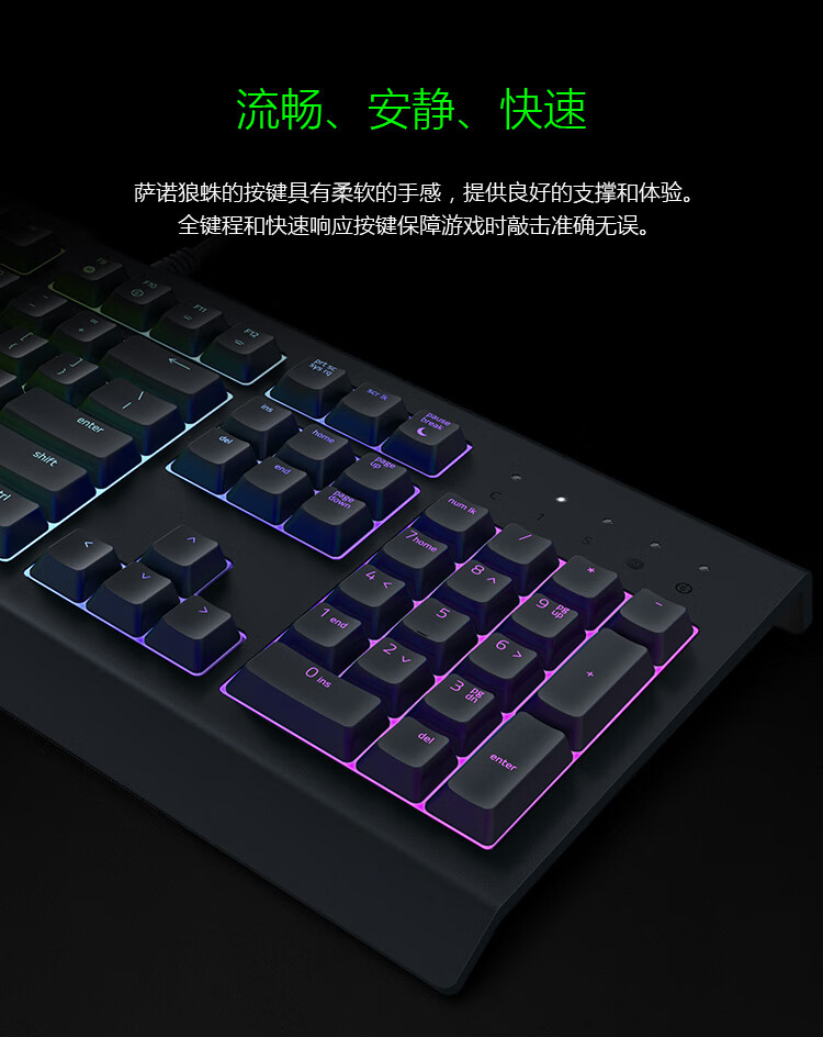 雷蛇razer 萨诺狼蛛 键盘 有线键盘 办公键盘 104键 电竞 黑色 英雄