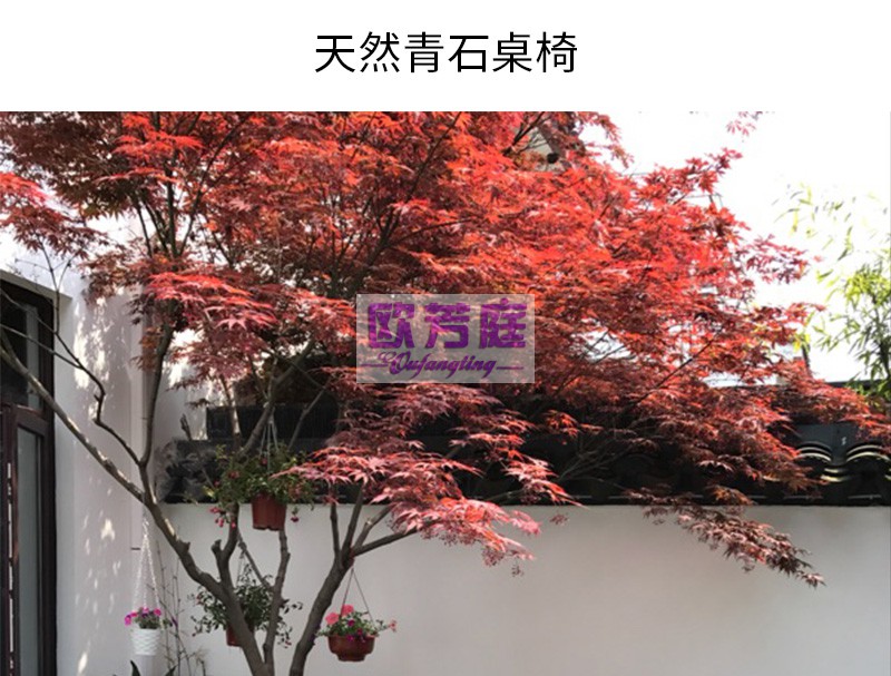 欧芳庭 户外露台棋牌石桌椅 凉亭院子公园大理石 石桌石凳 石椅圆凳 庭院别墅 石头桌椅 户外 一桌四凳(圆桌直径80CM)