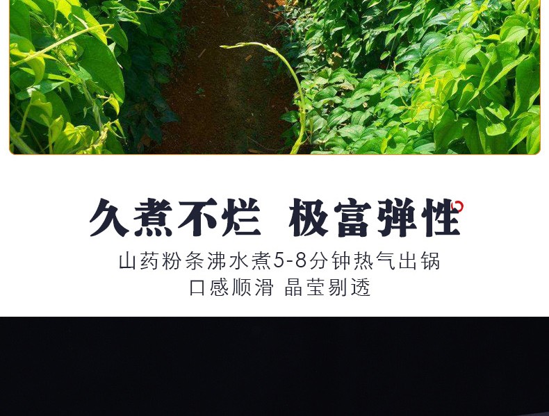 裕鲜荟（Yu xian hui） 铁棍山药粉条特产干货粉丝粉条火锅 酸辣粉食材 500g*1袋