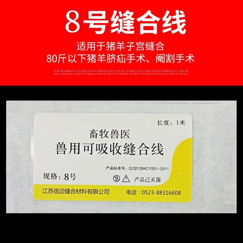 可吸收缝合线免拆pga宠物猪牛蛋白线羊肠线埋线可吸收性肉线boussac铝