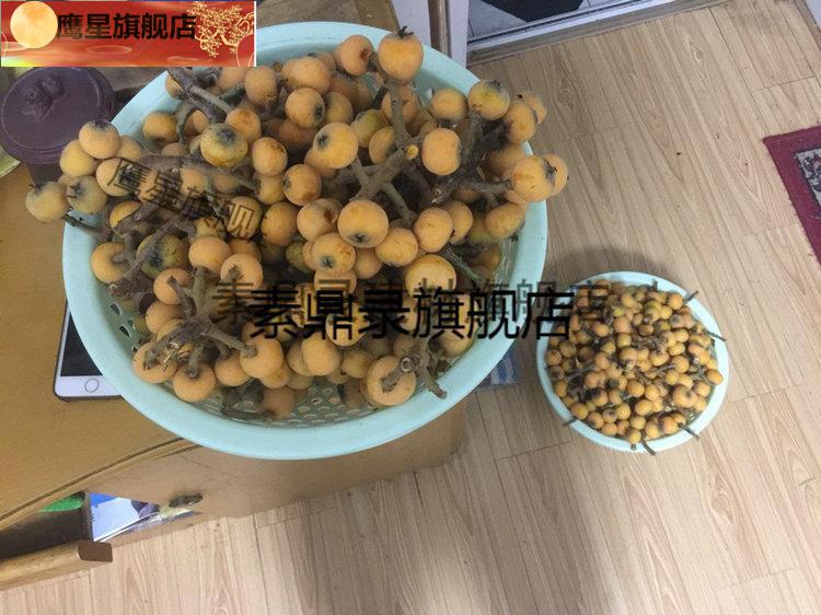 适用适用于摘山枣神器家用工具摘酸枣神器家用酸枣采摘器多功能摘野