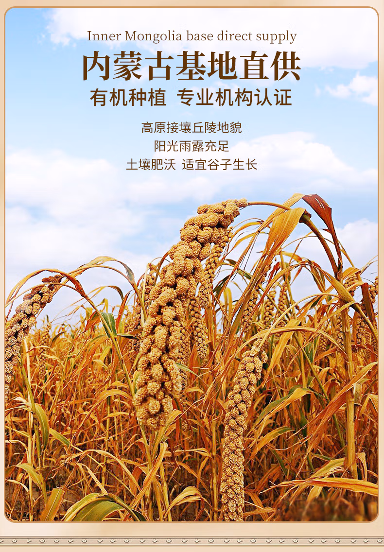 详情图.png