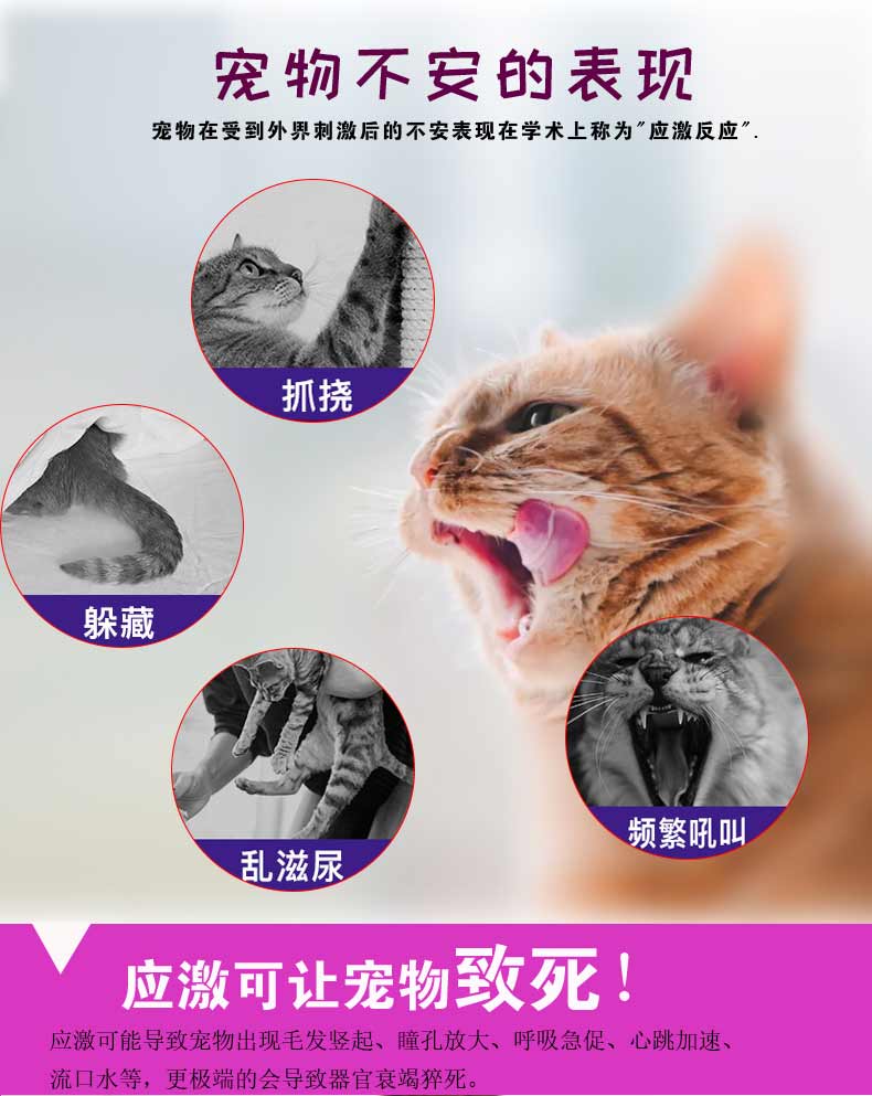 瑞乐事relaxivet费洛蒙猫用项圈安抚舒缓情绪香薰狗狗抗应激喷雾喷雾