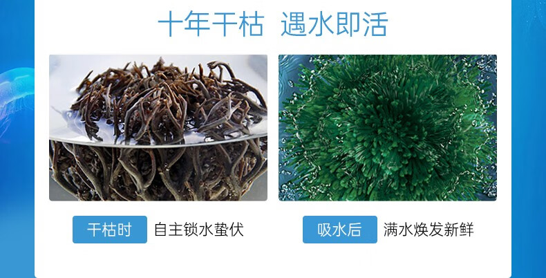 昆药集团KPC补水面膜复活草蓝膜水润柔嫩玻尿酸蓝铜肽贴片免洗 3盒15片经典蓝膜