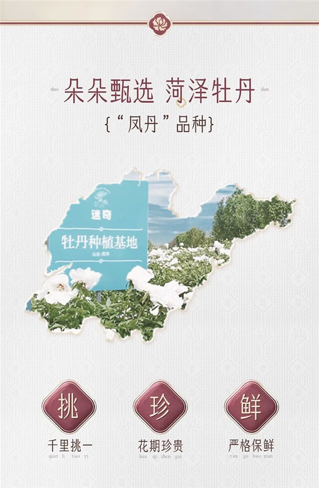 飞天牡丹【抗皱套装】迷奇抗皱淡纹紧致提拉改善细纹补水保湿修护国货 抗皱组合套装