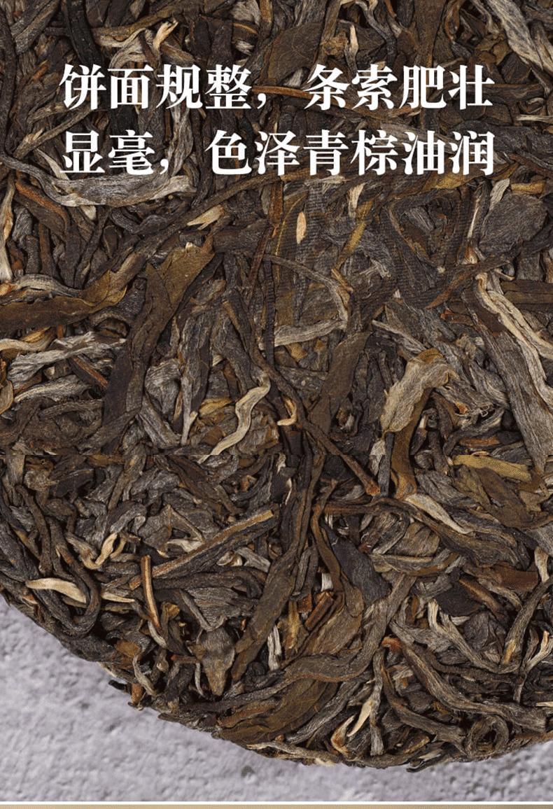 茶吉送茶叶普洱茶生茶班盆古树生普普洱生茶班盆产区古树春料200每饼