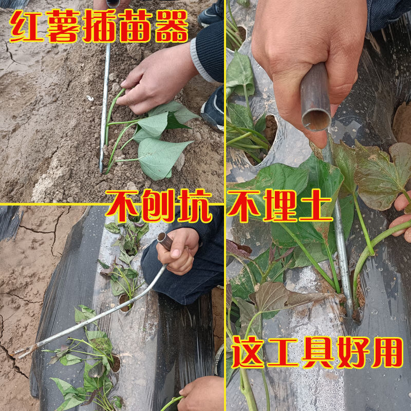 江影清红薯栽苗器地瓜插苗器蔬菜种植工具叉子平栽工具葱苗栽苗器二把