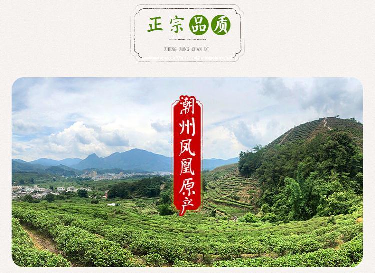 单丛茶单枞茶鸭屎香茶头浓香型潮州凤凰山茶叶一袋鸭屎香一袋蜜兰香