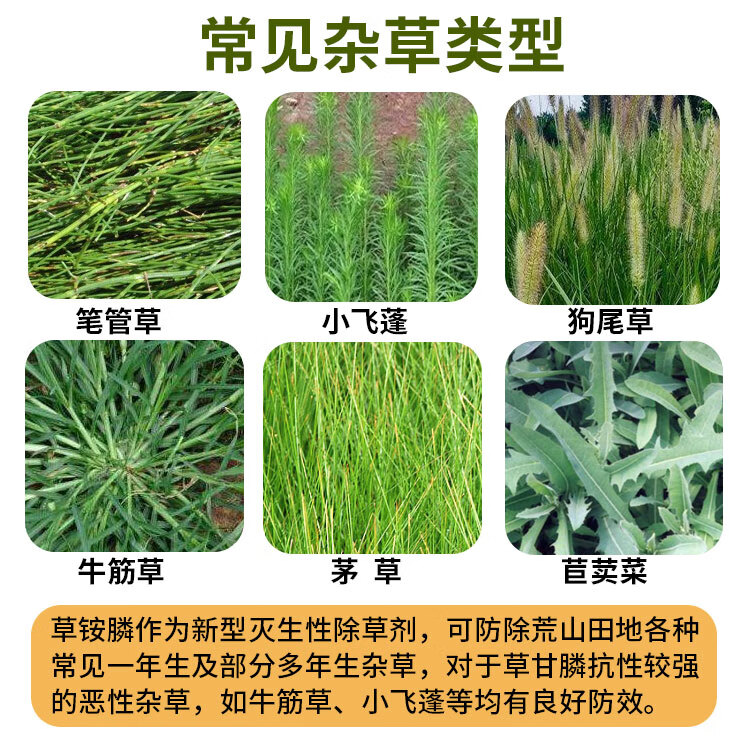 20草铵膦纯正草胺磷不伤土壤果园茶园荒地牛筋草小飞蓬水花生杂草除草