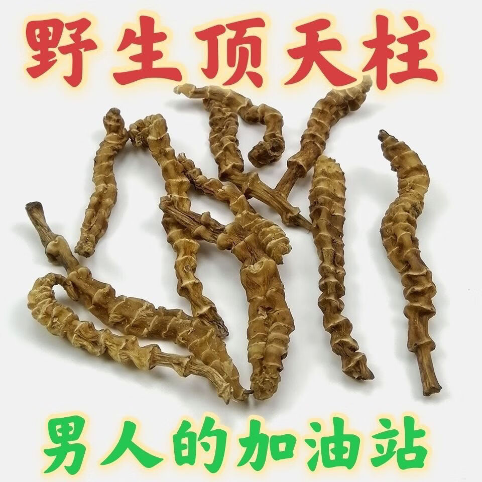 有仁堂【回春草】顶天柱 不老草硬的快云南 泡茶泡酒料配起阳草 顶天