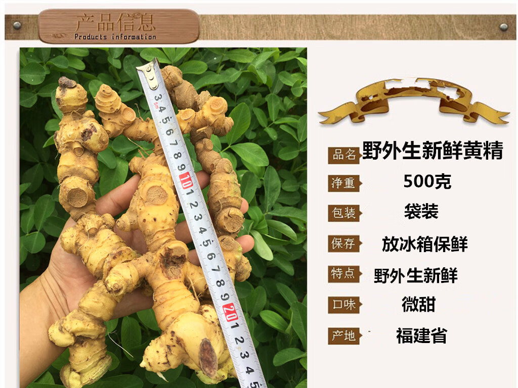 鲜黄精野外生老虎姜黄金九华山辟谷鸡头药材500g