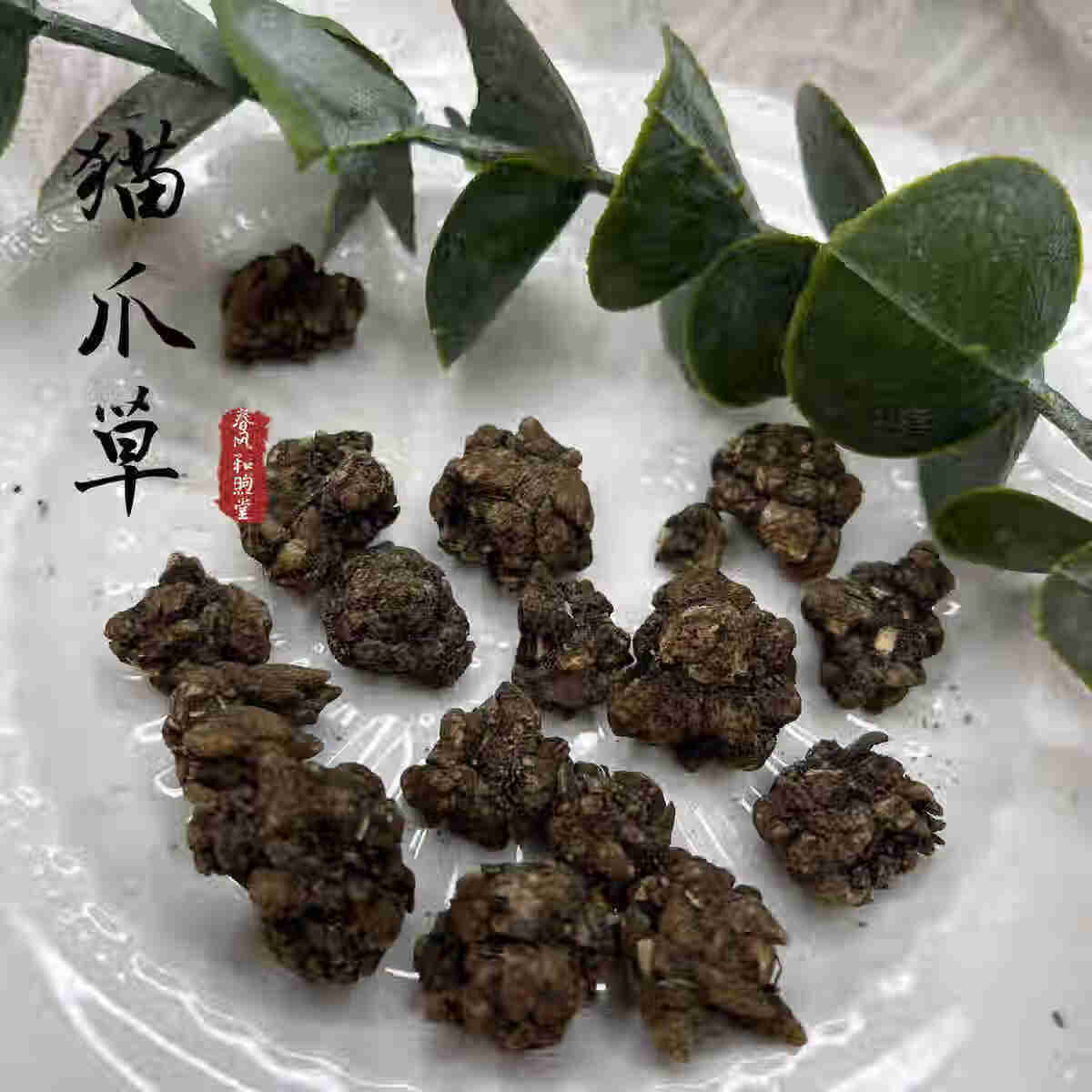 伟博猫爪草中药材水洗猫爪草猫抓草新鲜干货小毛茛500克