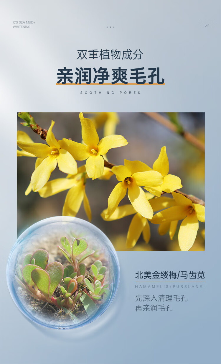 赫恩（H&E）男士美白洗面奶护肤品化妆品冰海泥清洁套装 200g