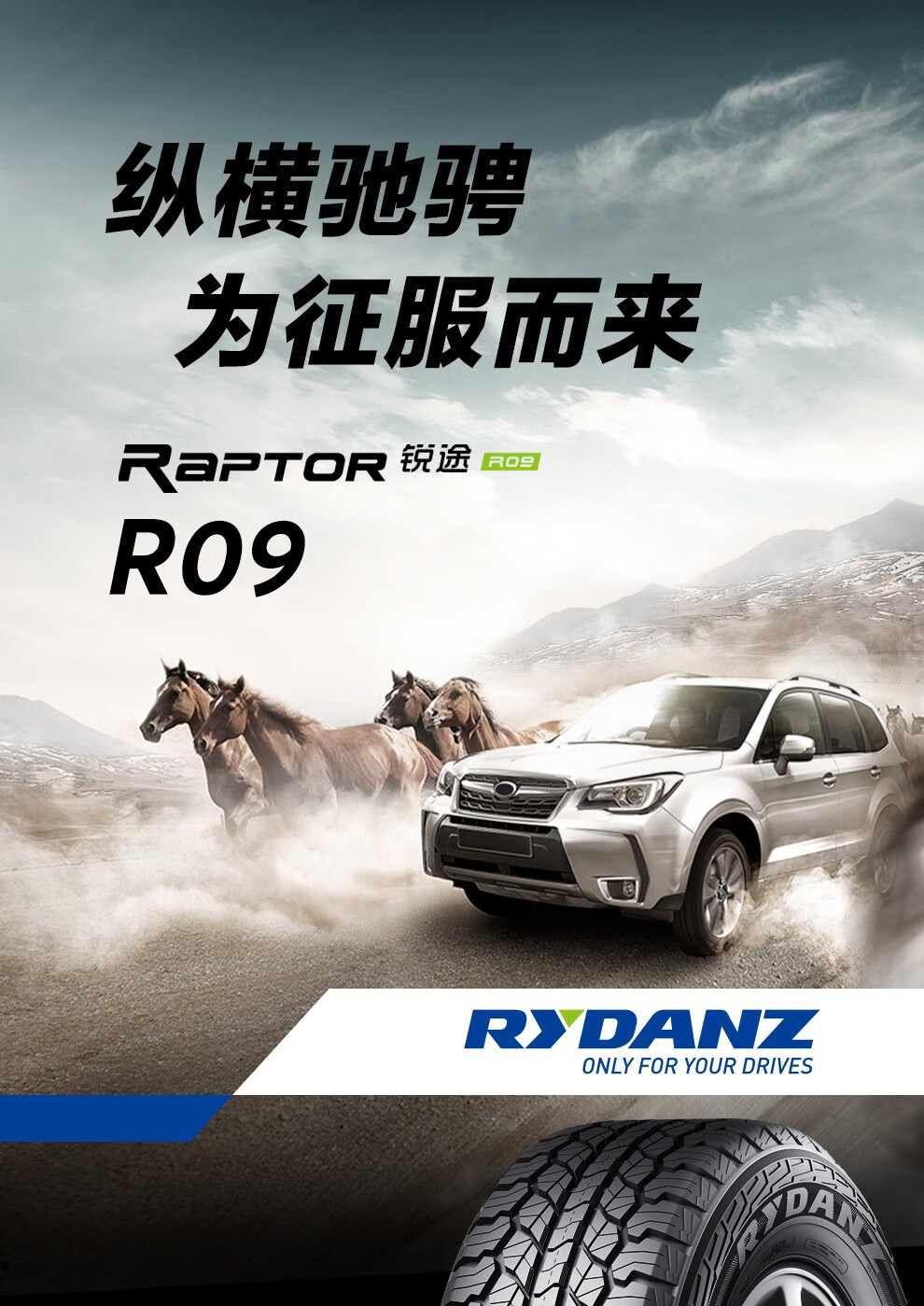 雷登rydanz轮胎锐途r09红色r09