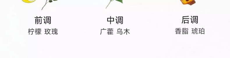 MONOTHEME精品香氛 柑橘之书 大橙子 男士女士中性淡香水  柑橘之书-大橙子100ml