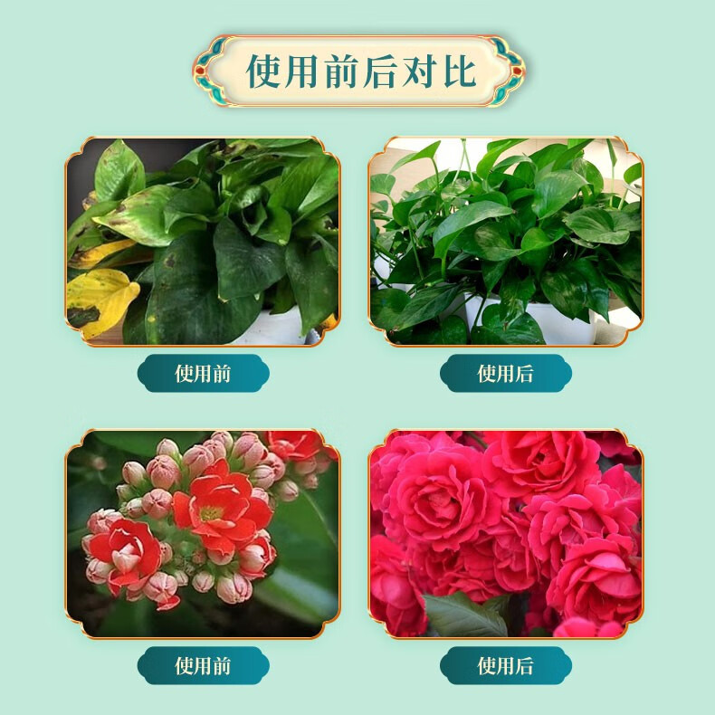 艾尚棵  植物营养液花肥料家用通用型盆栽发财树富贵竹绿萝水培花卉绿植 通用型500ml*2瓶+喷壶