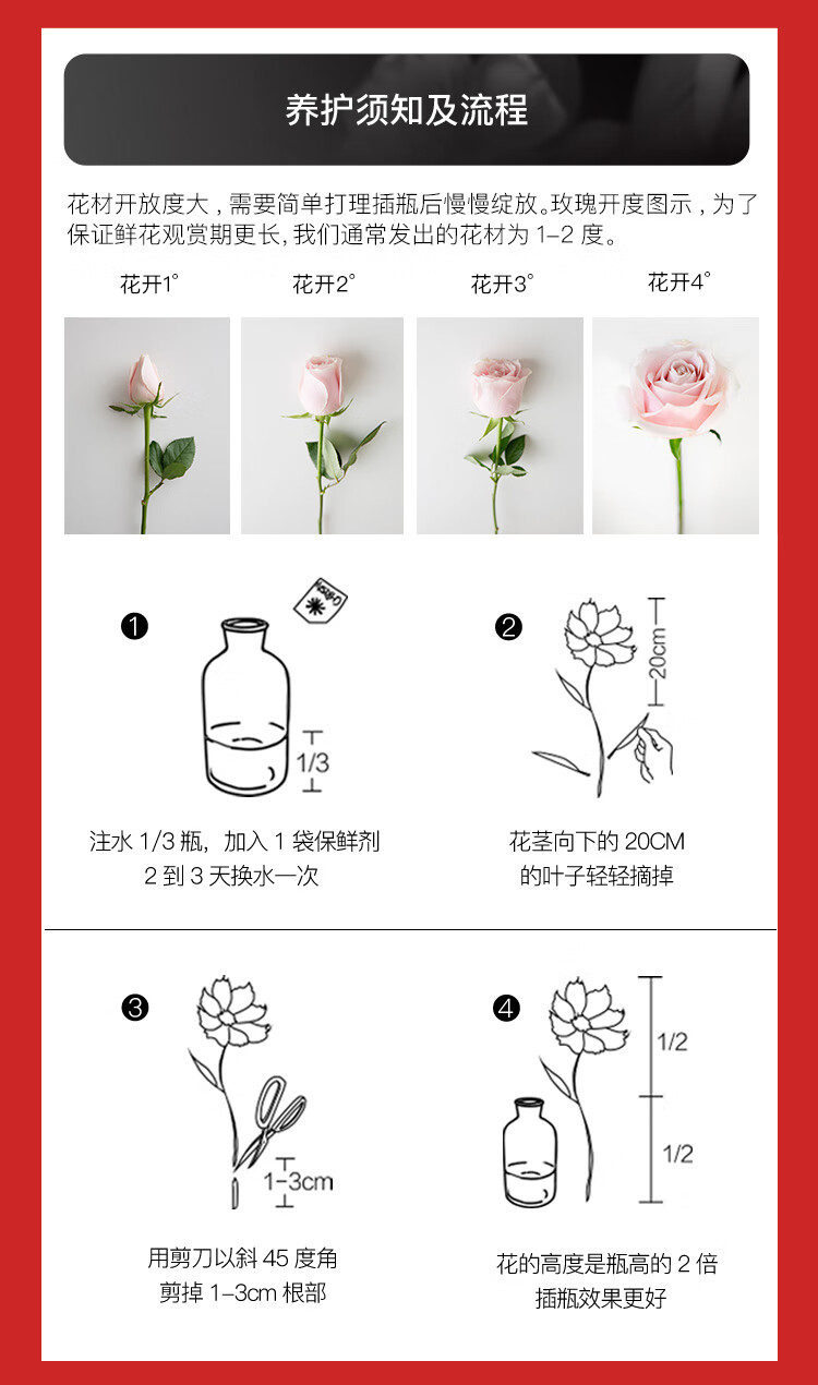 【基地直发】FlowerPlus花加单品鲜花云南昆明花束精致桌面瓶插花摆件鲜切花（下单后7天内发货） 六出花10枝，颜色随机