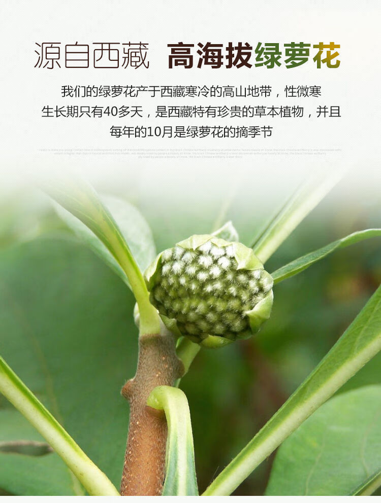 野生绿萝花西藏正宗结香花茶雪丽花茶级特西藏野生绿萝花250克绿萝花