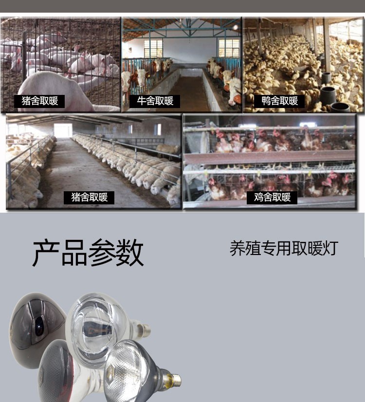 猪用保温灯鸭舍鸡用小鸡育雏加热加温保暖仔猪取暖灯泡烤养殖专用加厚