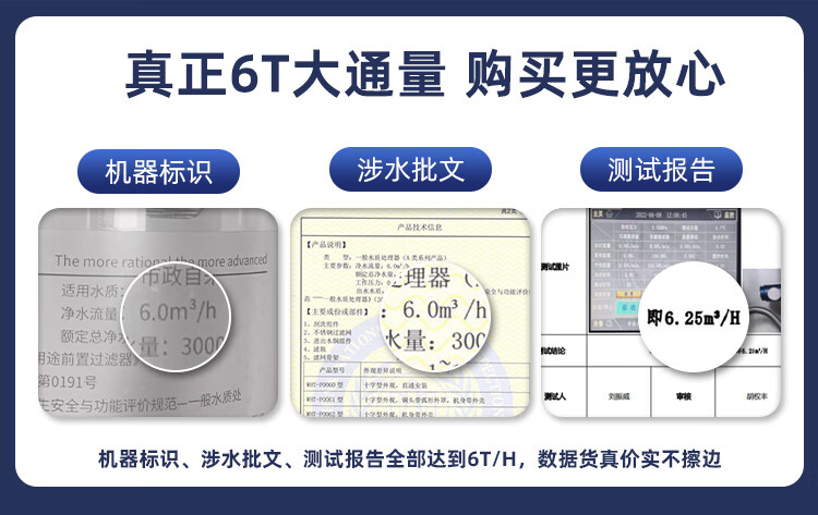 惠尔顿（WHEELTON）前置过滤器6T反冲洗 家用大流量全屋净水器中央自来水管道过滤器p0038  升级4分活接6分PPR通用